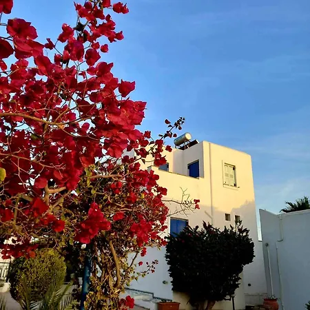 Sophi's L & * Agia Anna (Naxos)