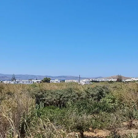 Sophi's L & Lägenhet Agia Anna (Naxos)